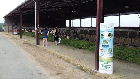Les vaches laitières du Gaec de la Brunie sont nourries à l’herbe l’été et complémentées en aliments riches en oméga 3 l’hiver, afin de produire moins de méthane.
